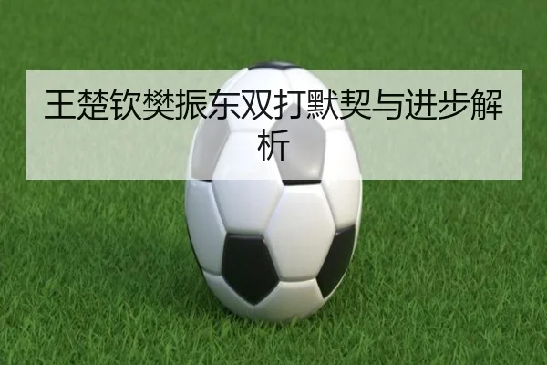 王楚钦樊振东双打默契与进步解析